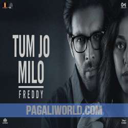 Tum Jo Milo Poster