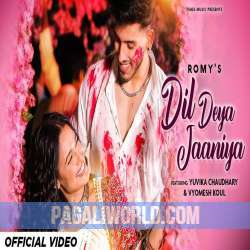 Dil Deya Jaaniya Poster