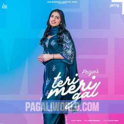 Teri Meri Gal Poster