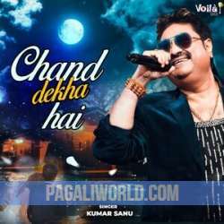 Chand Dekha Hai Poster