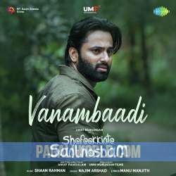 Vanambaadi Poster