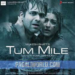 Tum Mile Mil Gaya Yeh Jahan Poster