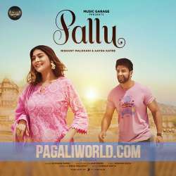 Pallu Poster