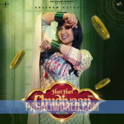 Hari Hari Chudiyaan Poster