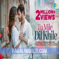 Tu Mile Dil Khile Poster