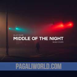 In The Middle Of The Night Poster