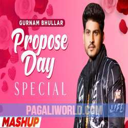 Propose Day Special (Mashup) Poster