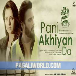 Pani Ankhyan Da Poster