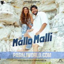 Mallo Malli Poster