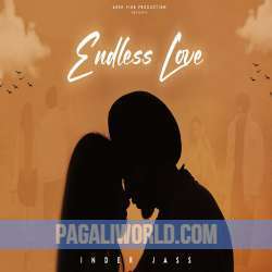 Endless Love Poster