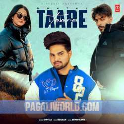 Taare Guntaj Poster