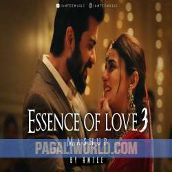 Essence of Love Mashup Poster