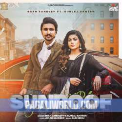 Sunroof Brar Sandeep Poster