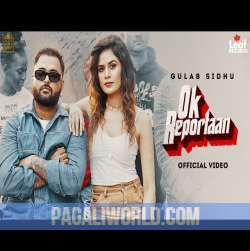 Ok Reportaan Poster