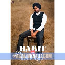 Habit Of Love Poster