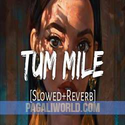 Tum Mile [Slowed+Reverb] Poster