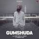 Gumshuda Poster