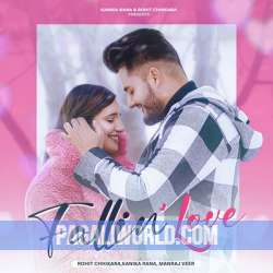 Fallin' Love Poster