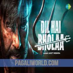 Dil Hai Bholaa Poster