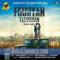 Fikkiyan Tasveeran Poster