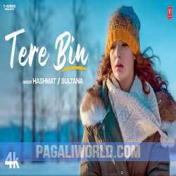 Tere Bin Hashmat Sultana Poster