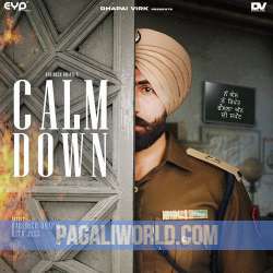 Calm Down Barinder Dhapai Poster