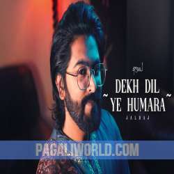 Dekh Dil Ye Humara Poster