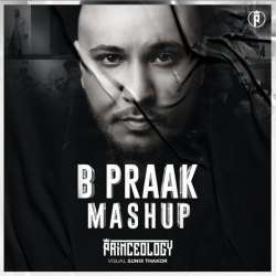 B Praak Pain Mashup Poster