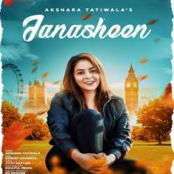 Janasheen Poster