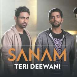 Teri Deewani Poster