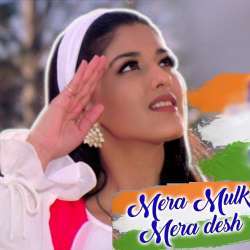 Mera Mulk Mera Desh Poster