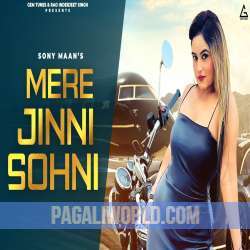 Mere Jinni Sohni Poster