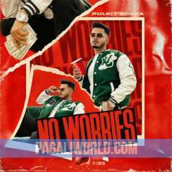 No Worries Pulkit Arora Poster