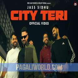 City Teri Poster