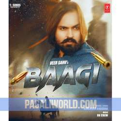 Baagi Poster