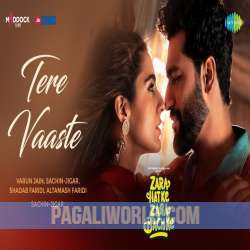 Tere Vaaste Poster