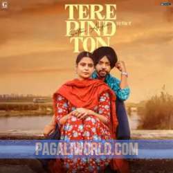 Tere Pind Ton Poster