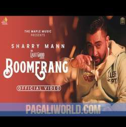 Boomerang Poster