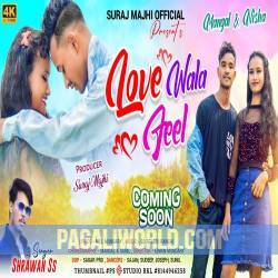 Love Wala Feel Poster