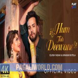 Hum Toh Deewane Poster