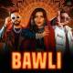 Bawli Poster