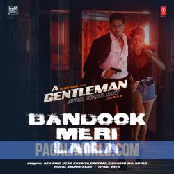 Bandook Meri Laila Slowed Poster