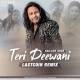 Teri Diwani Diwani Poster