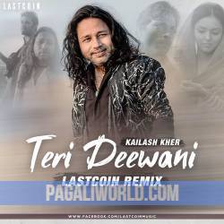 Teri Diwani Diwani Poster