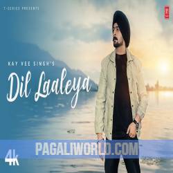 Dil Laaleya Poster