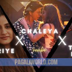 Heeriye X Chaleya X Tu Aake Dekhle Mashup Poster