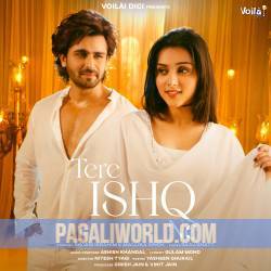 Tere Ishq Ne Poster