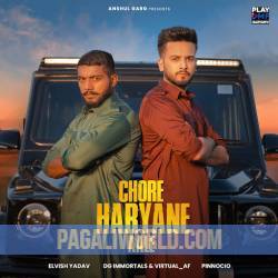 Chore Haryane Aale Poster