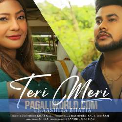 Teri Meri Poster