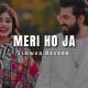 Meri Ho Ja (Slowed Reverb) Poster